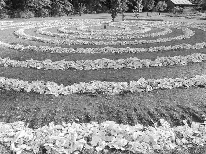 34834comox09oystershelllabyrinth-web