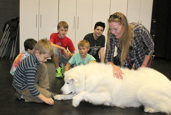 46480comox0996124comox09therapydog1