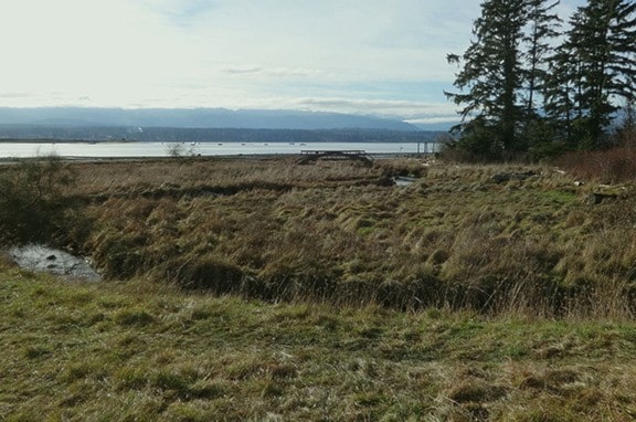 A view of the estuary from the Mack Lainge farmhouse.