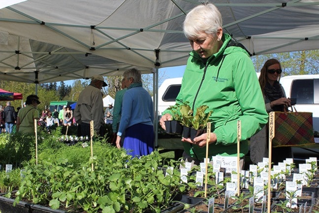 63612comox09farmersmarketshopper