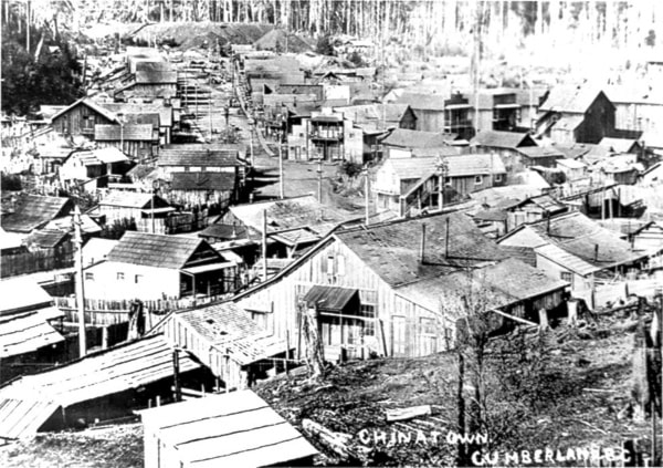 68907comox09Lookback
