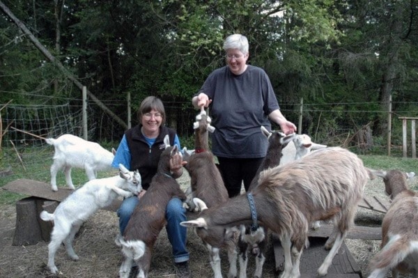 69157comox09goats