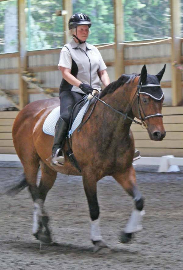 93400comox09horse