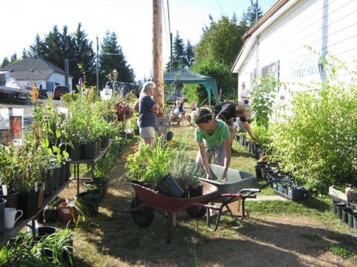 37454comox09plantsale