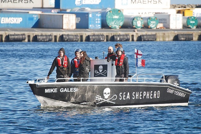 Tarah Millen (third from left) and her Sea Shepherd mates, at work.