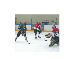 9454NewS.8.20110106174053.Hockey_20110107