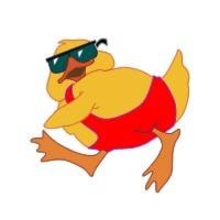 web1_ducky