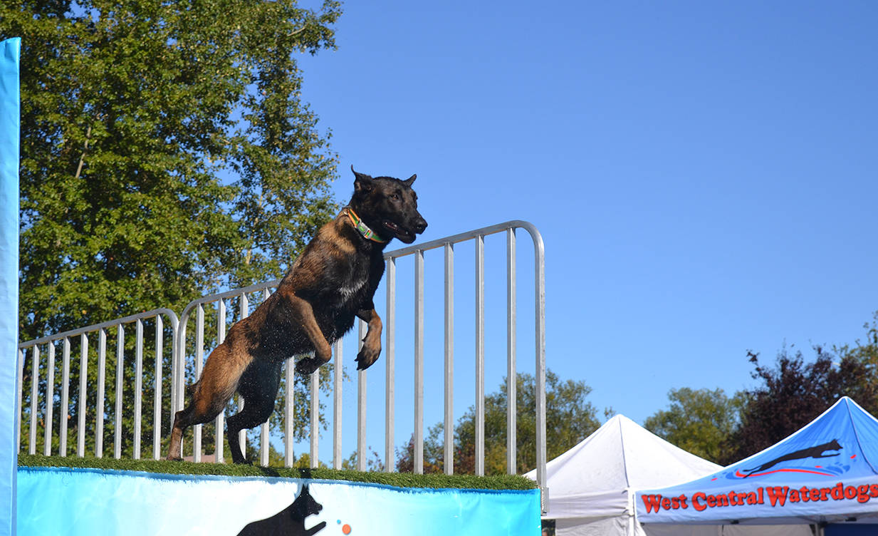 PHOTO GALLERY Comox Valley Exhibition 2017 Comox Valley Record