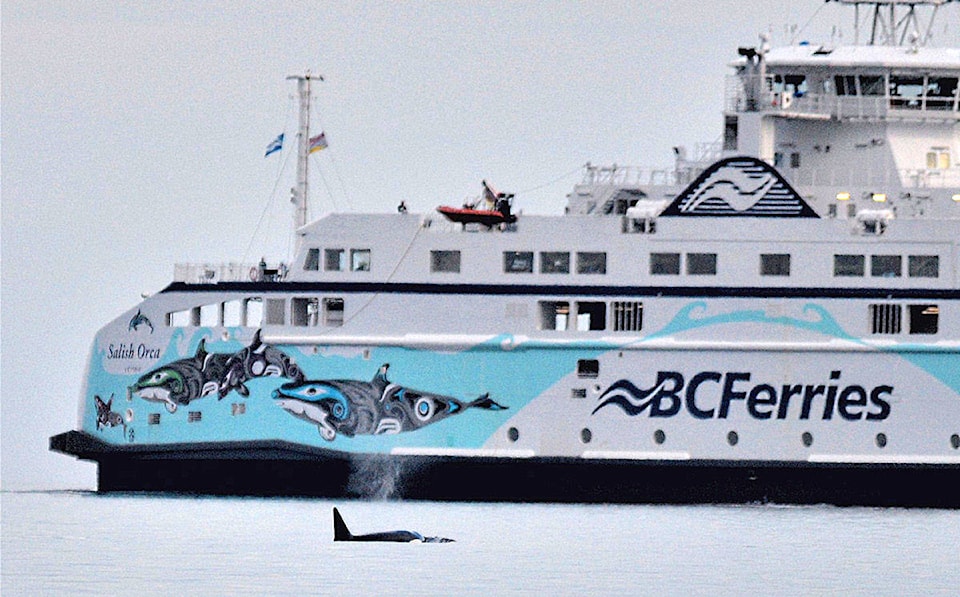 8688370_web1_170928-CVR-Ferrywhale