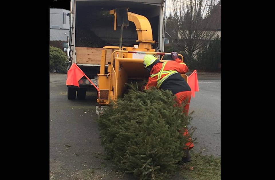 10036918_web1_180104-CVR-C-treechipping