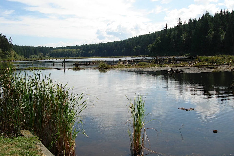 10166647_web1_180116-CVR-N-LangleyLogging