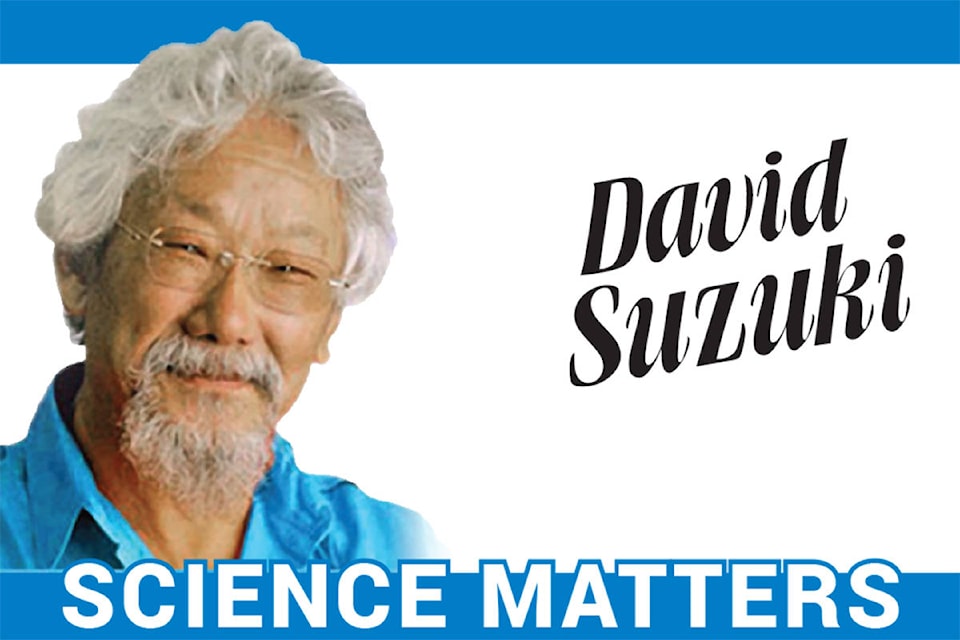 11109467_web1_columnist-David-Suzuki-Science-Matters