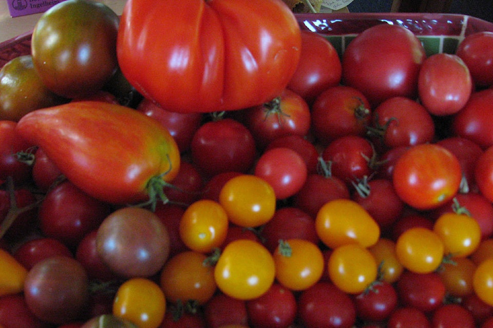 11783269_web1_180510-CVR-CVSeedHeirloom-tomatoes--7-