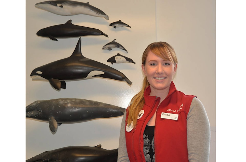 12476292_web1_180627-CVR-C-Whaletalk