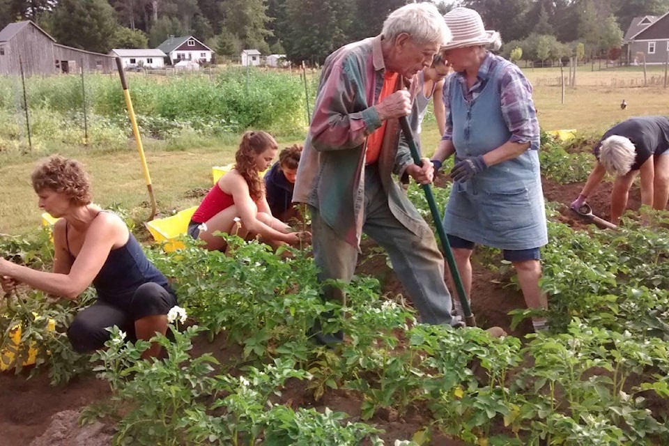 13059453_web1_180808-CVR-M-potato-glean-for-press-release