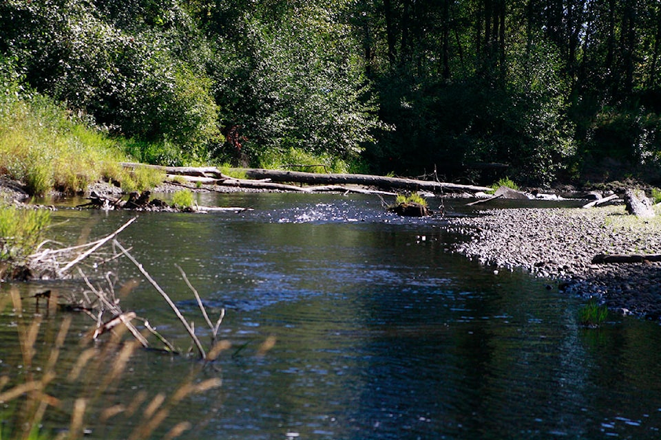 13926235_web1_181016-CVR-C-Tsolum-River