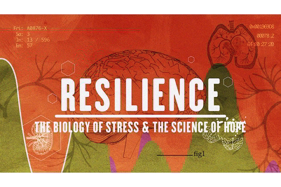 15532256_web1_190214-CVR-C-resilience