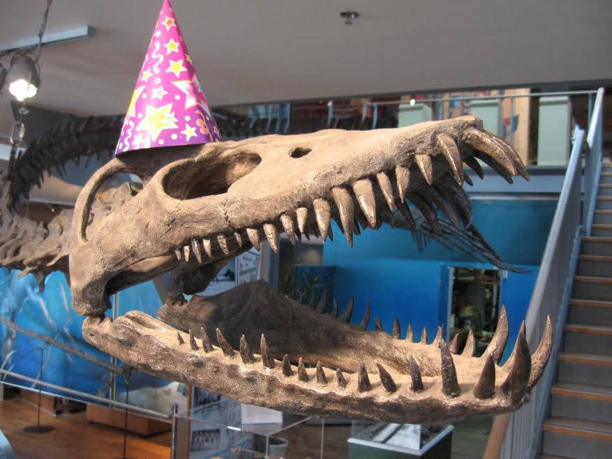 15616062_web1_171116-CVR-C-Dinobirthday