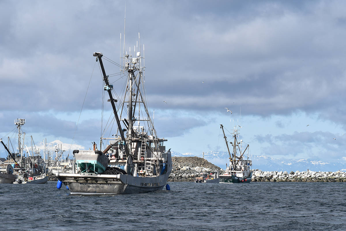 15962065_web1_copy_190312-CVR-fishingboats-1-smol