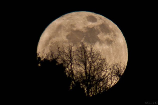 16039949_web1_full-worm-super-moon