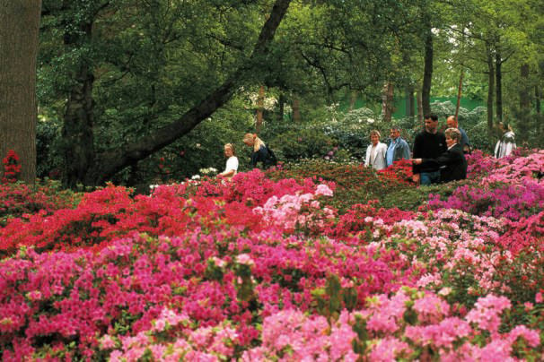 16206489_web1_190404-CVR-C-bremen-garden