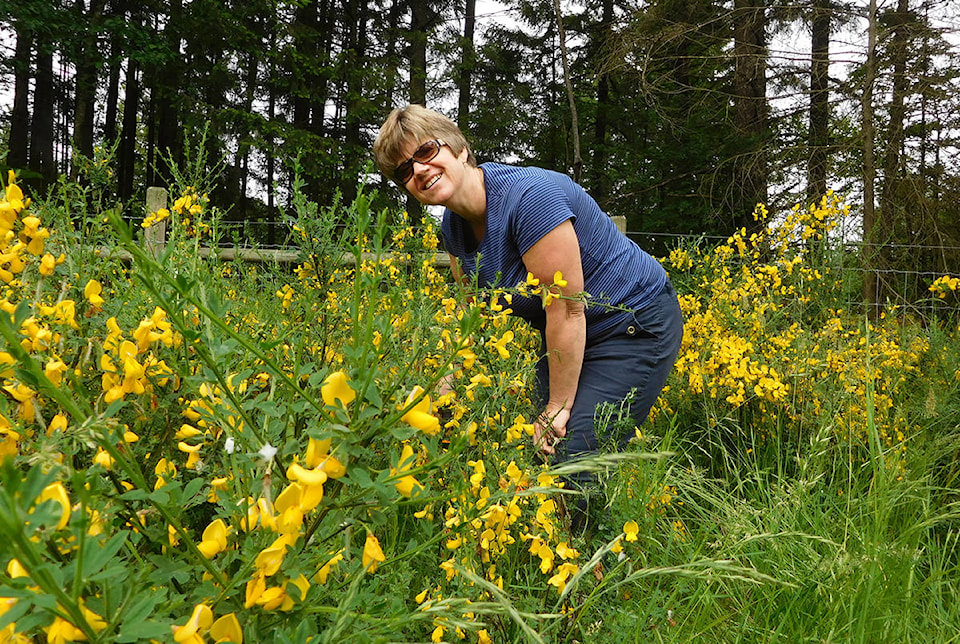 16305471_web1_180417-CVR-C-Scotchbroom