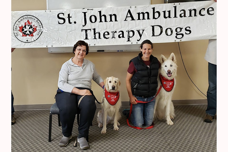 16748528_web1_190516-CVR-C-Therapydogs2