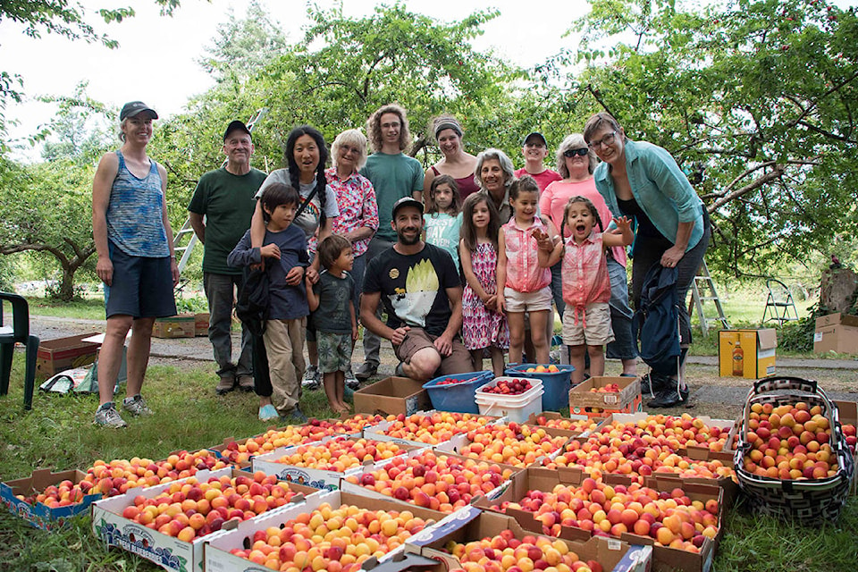 18038066_web1_190815-CVR-C-Lush-ValleyPlum-Harvest-2019