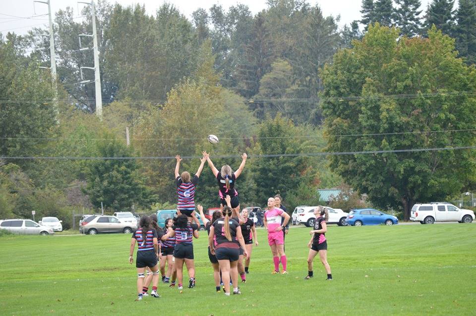 18640456_web1_Lineout