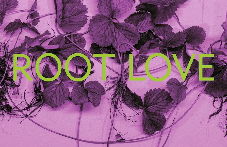 19582722_web1_191205-CVR-AE-cvag-root-love-text-1