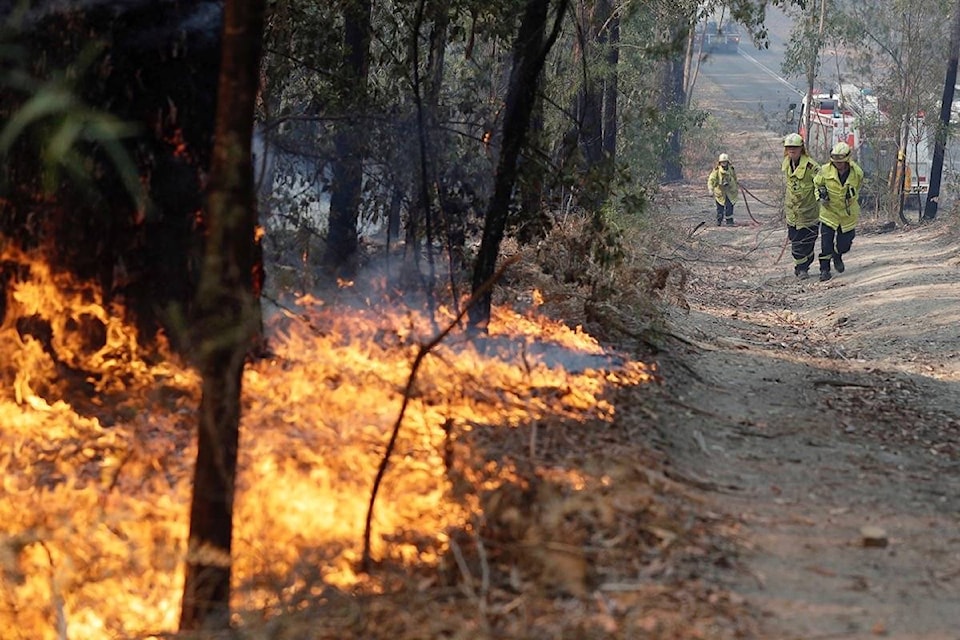 20120190_web1_200107-RDA-wildlife-centre-on-australian-fire_1