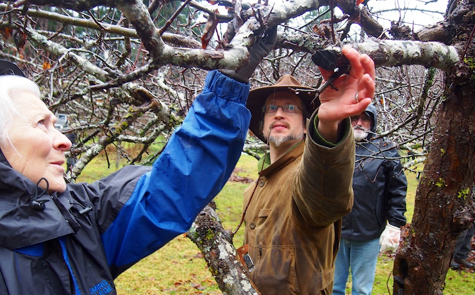 20465661_web1_Pruning1-24jan18