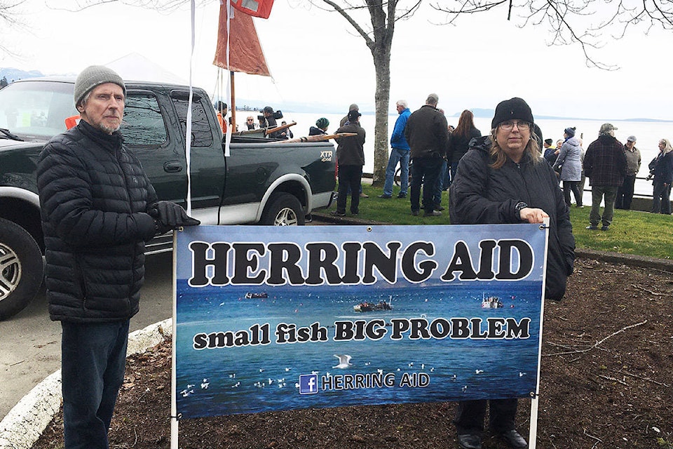 Peter and Lynne Cracknell of Nanaimo hold up a sign for passing motorists, as more than 100 people attended a rally, organized by Herring Aid, Sunday in Qualicum Beach. (PQB News photo)