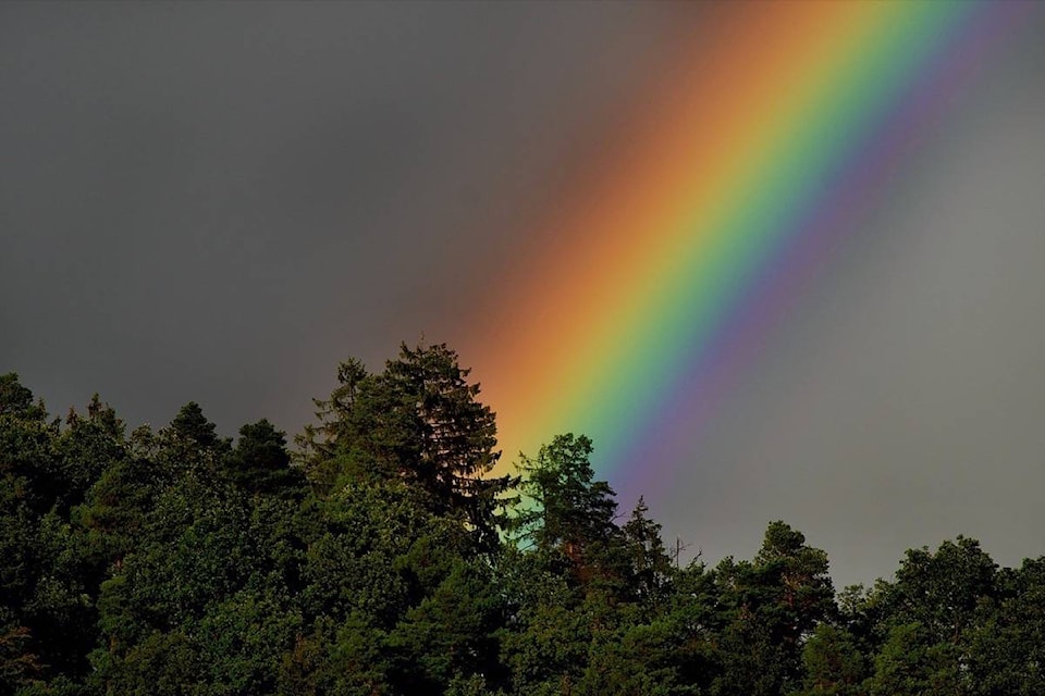 21633490_web1_200521-SUL-EditorialCOVIDpsych-rainbow_1