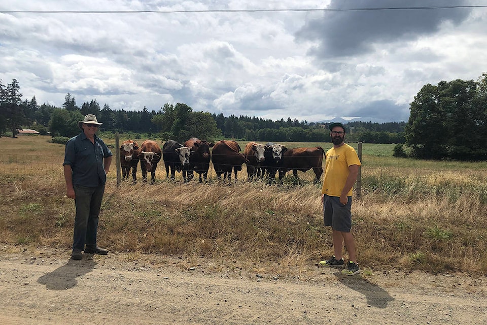 22208837_web1_200722-CRM-seaweed-cattle_1