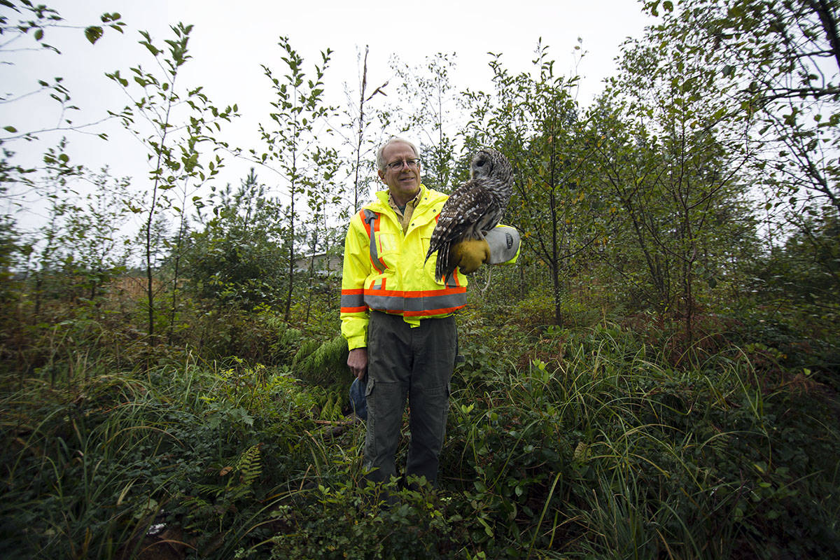 23002554_web1_201014-CRM-MARS-new-owl-barredowl_1