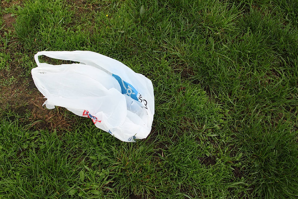 23039085_web1_201015-LCO-editorial-plastics-ban-plastic-bag_1