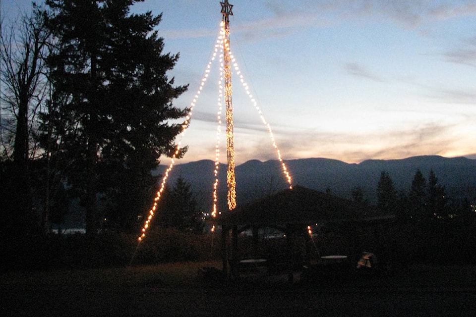 23942591_web1_191203-CVR-C-lit-tree