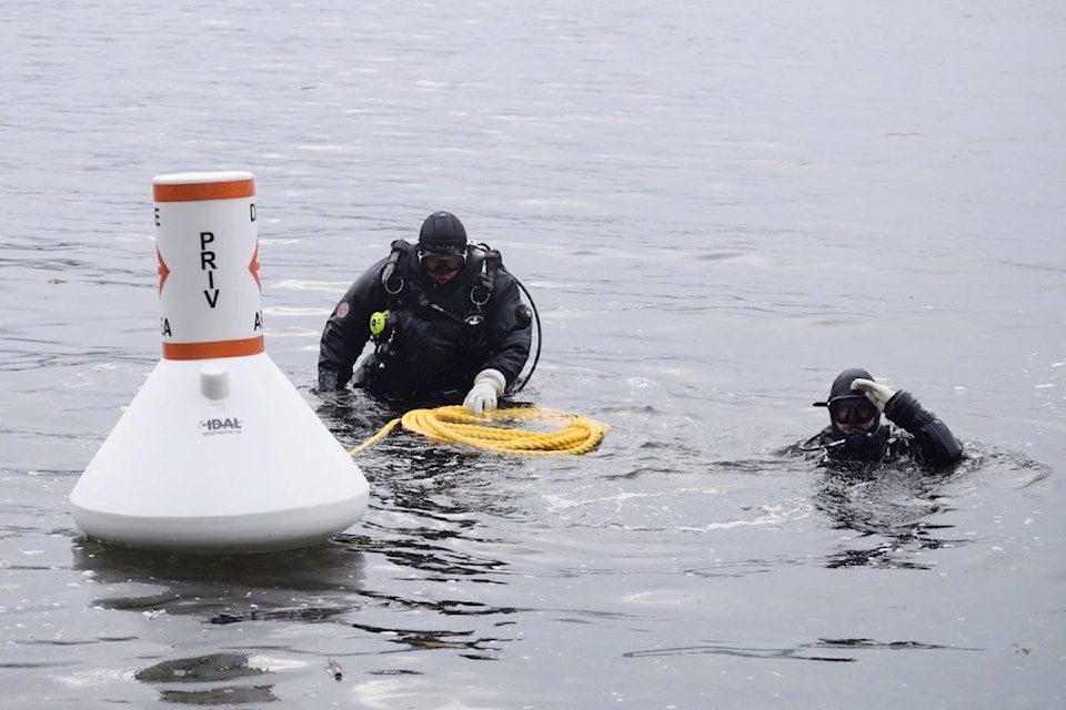 24136175_web1_210203-AVN-Diving-Float-china-creek_2