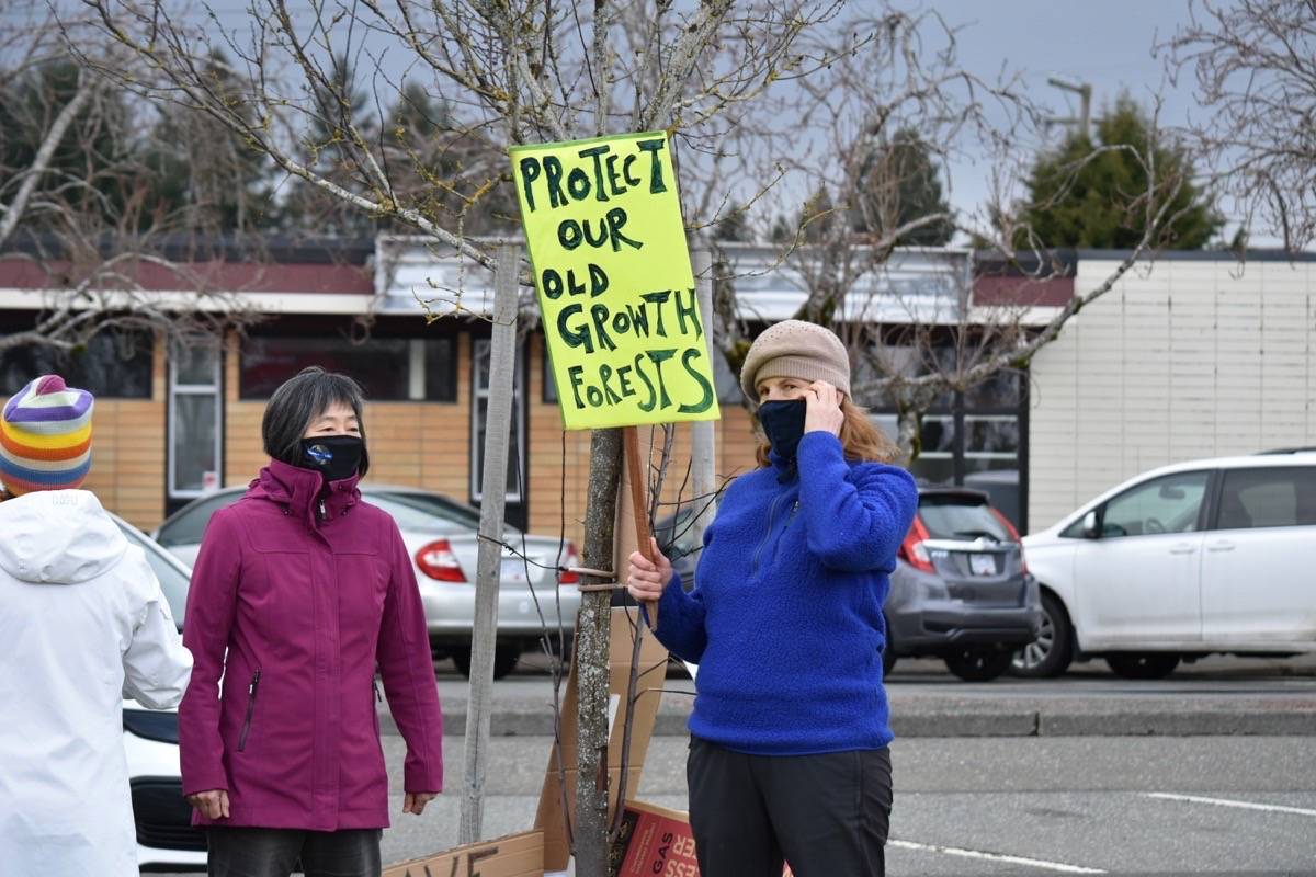 24435160_web1_210310-CVR-N-logging-protest-1_3