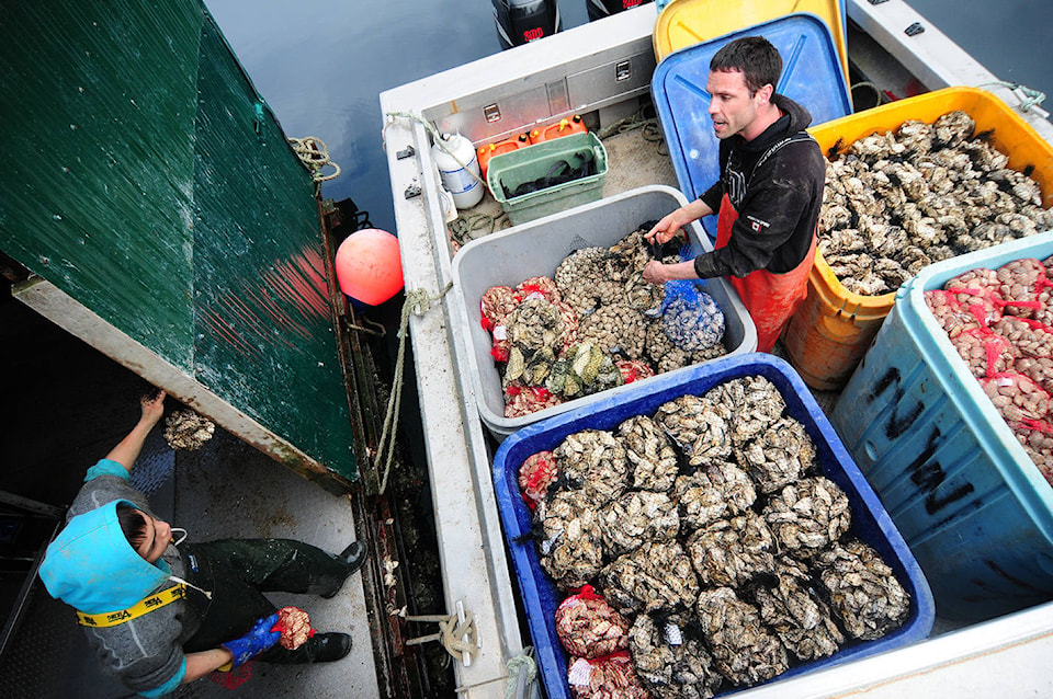 24455983_web1_210318-PRU-Aquaculture-Awards-SHELLFISH_1