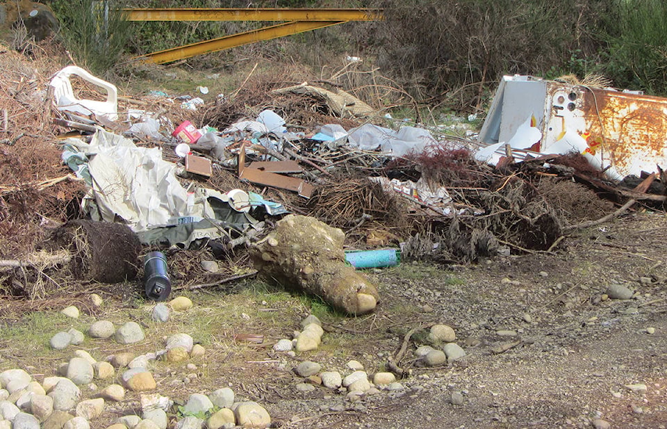 24514126_web1_210317-CVR-illega-dumping