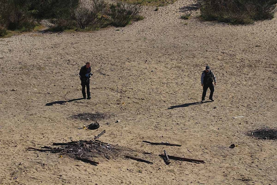 RCMP forensics investigators scour the site north of Highland School in Comox, where multiple people were stabbed during a party Saturday night, April 16. Photo by Terry Farrell