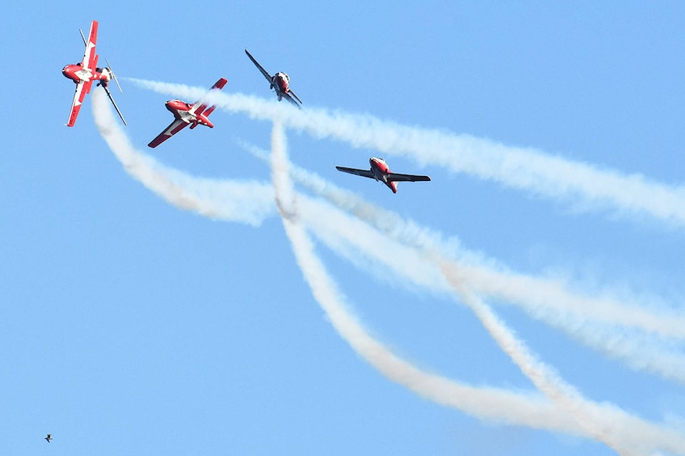 24948854_web1_Snowbirds-01A-LolaPeverley