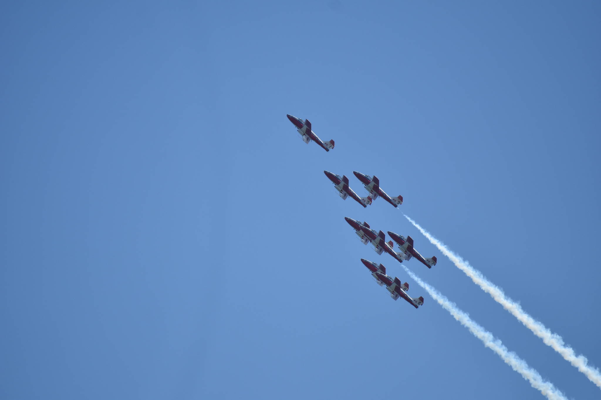 25251343_web1_210526-CVR-Snowbirds-birds_3