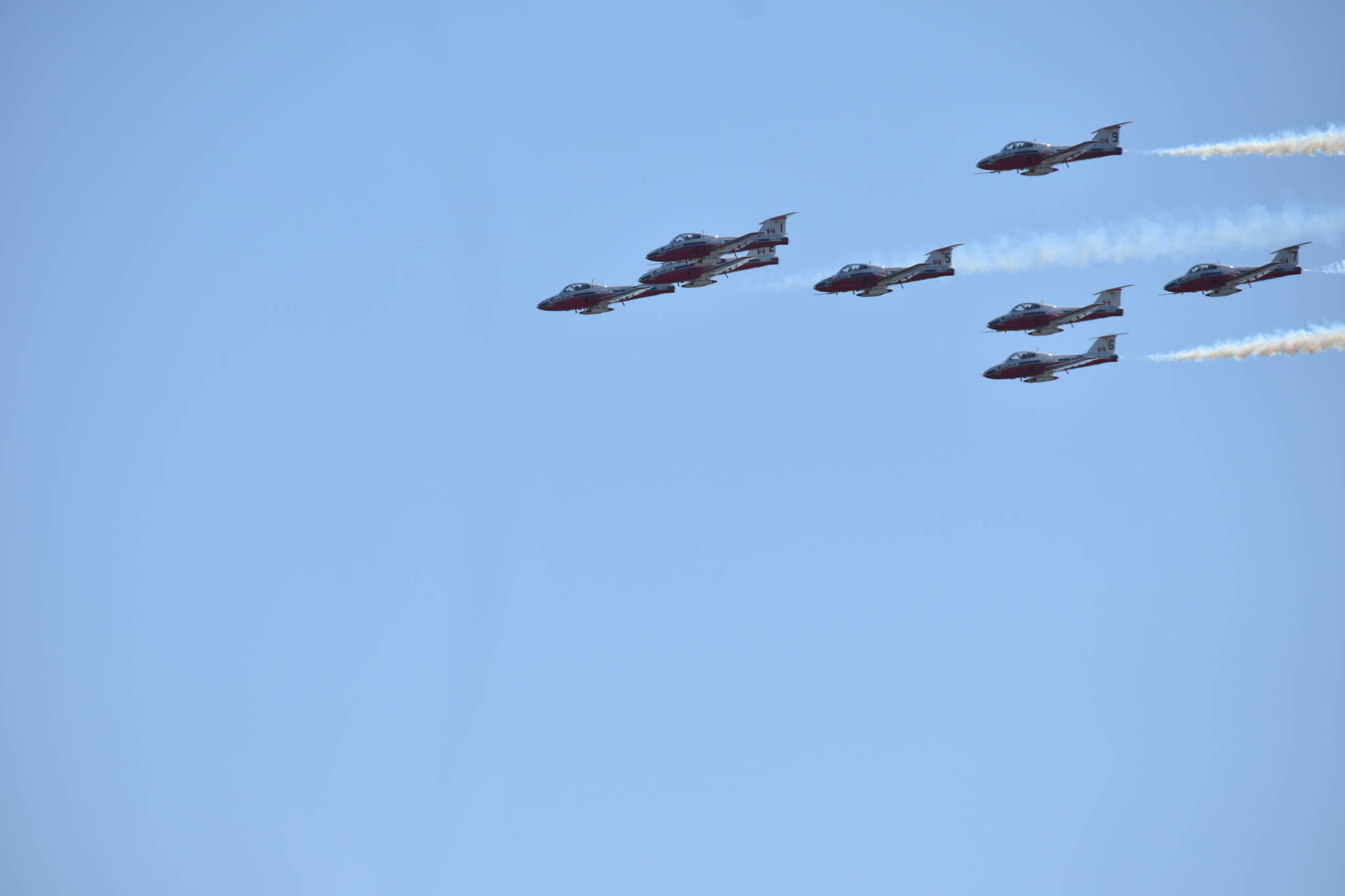 25251343_web1_210526-CVR-Snowbirds-birds_4