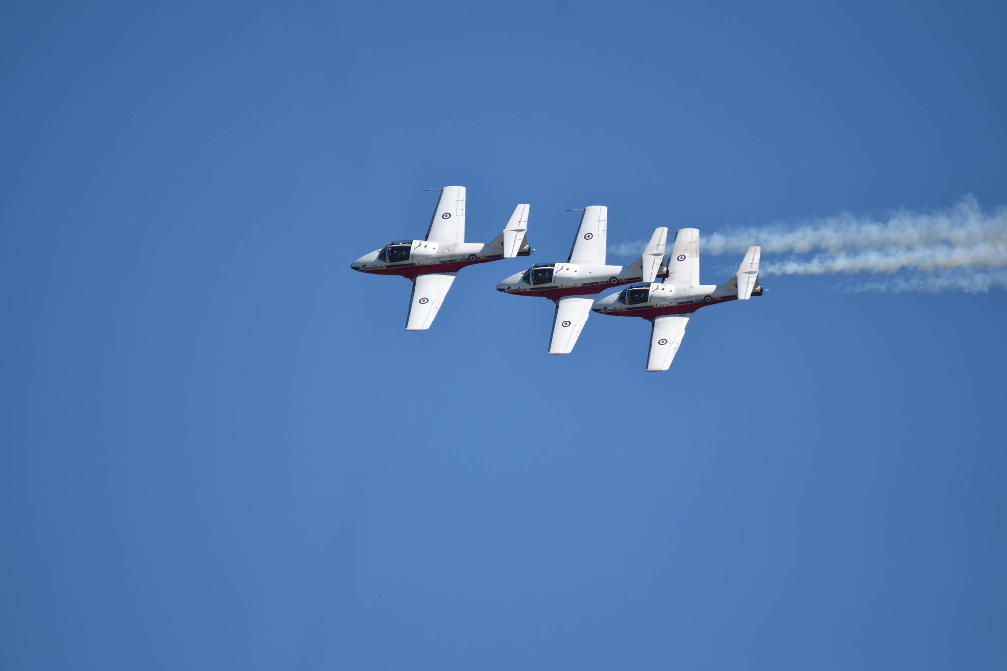 25251343_web1_210526-CVR-Snowbirds-birds_8