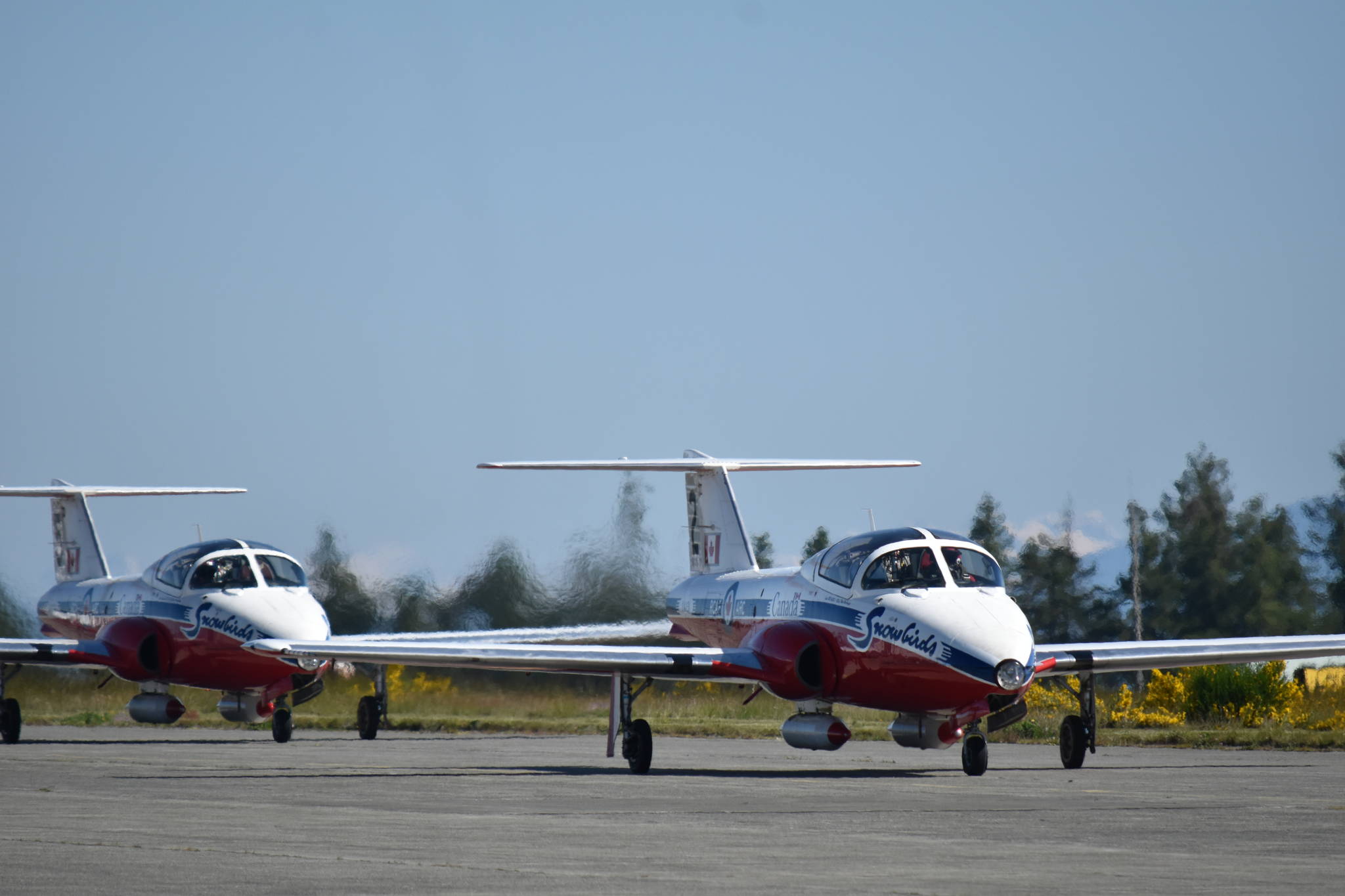 25271836_web1_210526-CVR-Snowbirds-birds_9