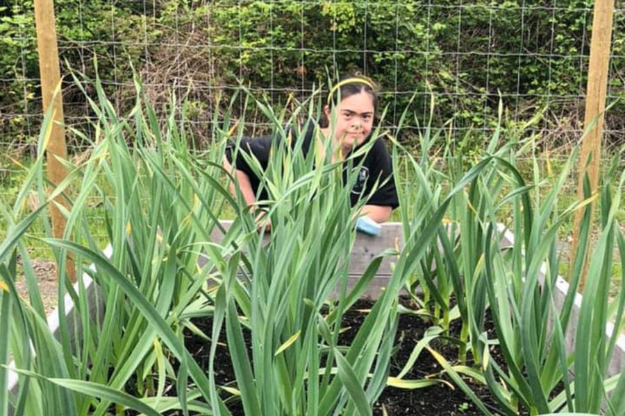 Noella Rousseau of CVCDA’s Project Inclusion Program checks out the garlic bed at the Free To Grow Community Garden. Photo supplied.