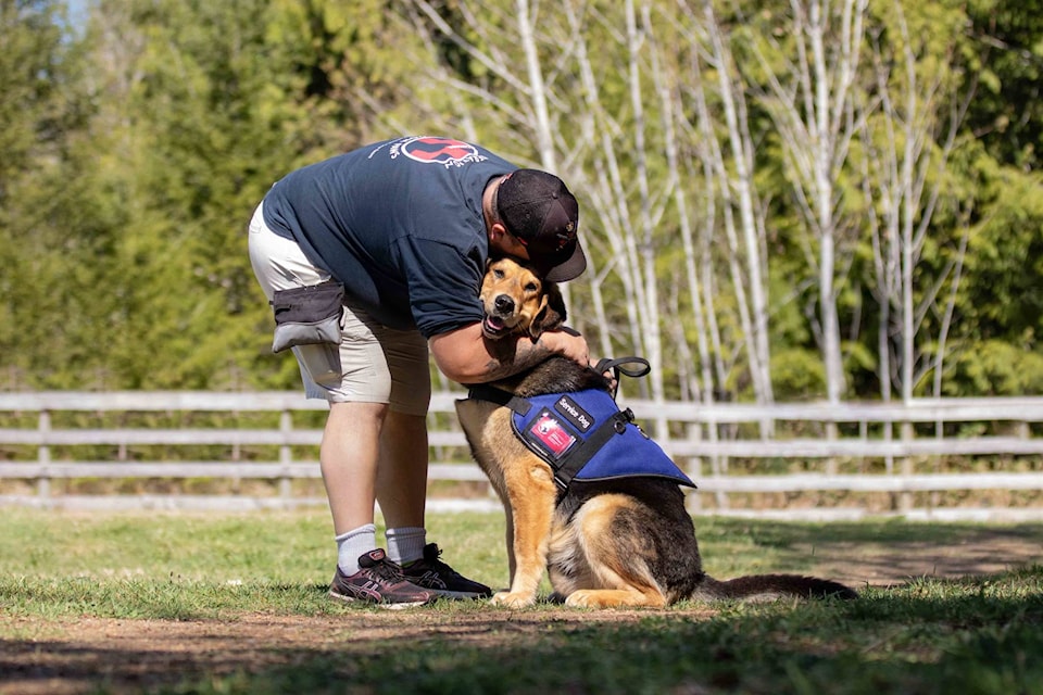 25586659_web1_210623-CVR-C-dogcalendar-1_1
